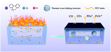 Graphical abstract: Preparation and thermal cross-linking mechanism of co-polyester fiber with flame retardancy and anti-dripping by in situ polymerization