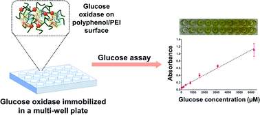 Graphical abstract: Immobilization of glucose oxidase on bioinspired polyphenol coatings as a high-throughput glucose assay platform