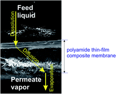 Graphical abstract: Fabrication and characterization of polyamide thin-film composite membrane via interfacial polycondensation for pervaporation separation of salt and arsenic from water