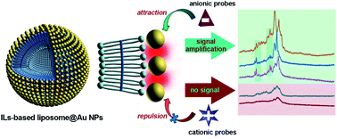 Graphical abstract: Ionic liquid-based liposome for selective SERS detection