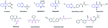 Graphical abstract: Synthesis of novel antibacterial and antifungal quinoxaline derivatives