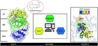 Graphical abstract: The dolabellane diterpenes as potential inhibitors of the SARS-CoV-2 main protease: molecular insight of the inhibitory mechanism through computational studies