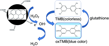 Graphical abstract: Peroxidase catalytic activity of carbon nanoparticles for glutathione detection