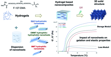 Graphical abstract: Preparation of biocompatible hydrogels reinforced by different nanosheets