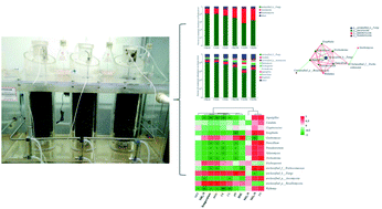 Graphical abstract: Effects of urease inhibitors on enzymatic activities and fungal communities during the biosolids composting