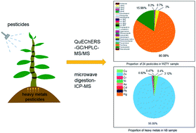 Graphical abstract: Analysis method development and health risk assessment of pesticide and heavy metal residues in Dendrobium Candidum
