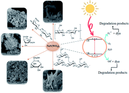 Graphical abstract: A simple hydrothermal route for the preparation of novel Na–Y–W nano-oxides and their application in dye degradation