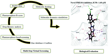 Graphical abstract: Structure-based discovery and bio-evaluation of a cyclopenta[4,5]thieno[2,3-d]pyrimidin-4-one as a phosphodiesterase 10A inhibitor