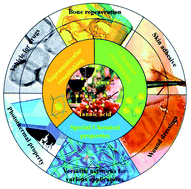 Graphical abstract: Tannic acid: a crosslinker leading to versatile functional polymeric networks: a review