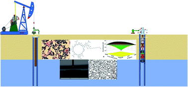 Graphical abstract: Optimization and characterization of biosurfactant produced by indigenous Brevibacillus borstelensis isolated from a low permeability reservoir for application in MEOR