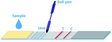 Graphical abstract: Ball pen writing-without-ink: a truly simple and accessible method for sensitivity enhancement in lateral flow assays