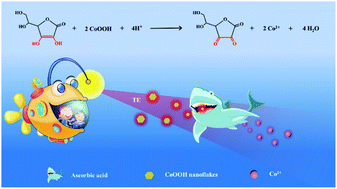 Graphical abstract: A novel strategy for sensitive and rapid detection of ascorbic acid via the Tyndall effect of cobalt hydroxide nanoflakes