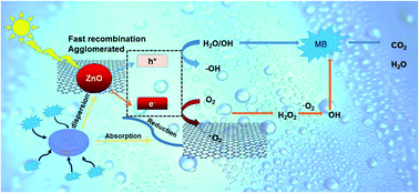 Graphical abstract: 2D–3D graphene-coated diatomite as a support toward growing ZnO for advanced photocatalytic degradation of methylene blue