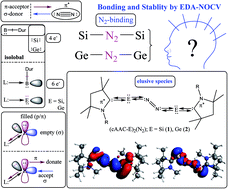 Graphical abstract: Bonding and stability of dinitrogen-bonded donor base-stabilized Si(0)/Ge(0) species [(cAACMe–Si/Ge)2(N2)]: EDA-NOCV analysis