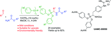 Graphical abstract: One-pot synthesis of α-aminophosphonates by yttrium-catalyzed Birum–Oleksyszyn reaction