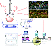 Graphical abstract: Liquid crystal behavior, photoluminescence and gas sensing: A new series of ionic liquid crystal imidazole and benzoimidazole bearing chalcone groups, synthesis and characterization