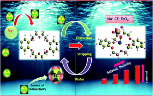 Graphical abstract: Mechanism unravelling for highly efficient and selective 99TcO4− sequestration utilising crown ether based solvent system from nuclear liquid waste: experimental and computational investigations