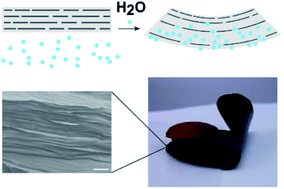 Graphical abstract: Oxidation-degree-dependent moisture-induced actuation of a graphene oxide film