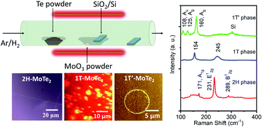 Graphical abstract: Toward understanding the phase-selective growth mechanism of films and geometrically-shaped flakes of 2D MoTe2