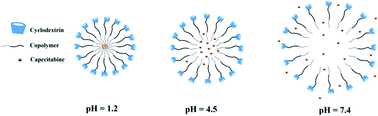 Graphical abstract: Targeted delivery of capecitabine to colon cancer cells using nano polymeric micelles based on beta cyclodextrin