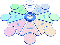 Graphical abstract: Techniques for the characterization of single atom catalysts