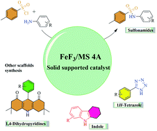 Graphical abstract: Utilization of transition metal fluoride-based solid support catalysts for the synthesis of sulfonamides: carbonic anhydrase inhibitory activity and in silico study