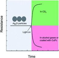Graphical abstract: Investigation of photoelectric behaviors of silver sulfide particles in different surroundings