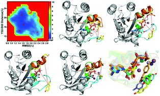 Graphical abstract: Q61 mutant-mediated dynamics changes of the GTP-KRAS complex probed by Gaussian accelerated molecular dynamics and free energy landscapes