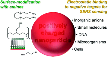 Graphical abstract: Positively-charged plasmonic nanostructures for SERS sensing applications
