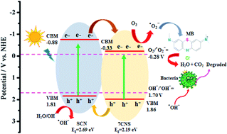 Graphical abstract: A well-defined S-g-C3N4/Cu–NiS heterojunction interface towards enhanced spatial charge separation with excellent photocatalytic ability: synergetic effect, kinetics, antibacterial activity, and mechanism insights