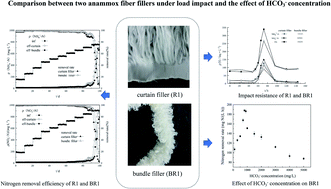 Graphical abstract: Comparison between two anammox fiber fillers under load impact and the effect of HCO3− concentration