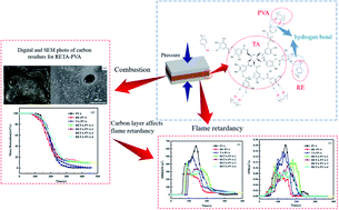 Graphical abstract: Outstanding flame retardancy for poly(vinyl alcohol) achieved using a resveratrol/tannic acid complex