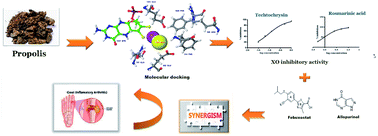 Graphical abstract: Integrated in silico – in vitro strategy for the discovery of potential xanthine oxidase inhibitors from Egyptian propolis and their synergistic effect with allopurinol and febuxostat