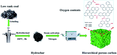 Graphical abstract: Preparation and characterization of three-dimensional hierarchical porous carbon from low-rank coal by hydrothermal carbonization for efficient iodine removal