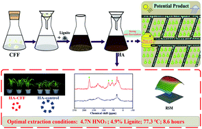 Graphical abstract: Extraction optimization and quality evaluation of humic acids from lignite using the cell-free filtrate of Penicillium ortum MJ51