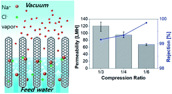 Graphical abstract: High-permeability vacuum membrane distillation utilizing mechanically compressed carbon nanotube membranes