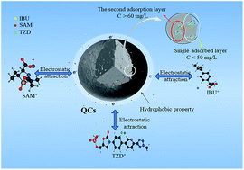 Graphical abstract: An efficient removal mechanism for different hydrophilic antibiotics from aquatic environments by Cu–Al–Fe–Cr quasicrystals