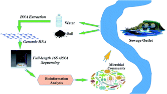 Graphical abstract: Investigation of the microbial community structure and diversity in the environment surrounding a veterinary antibiotic production factory