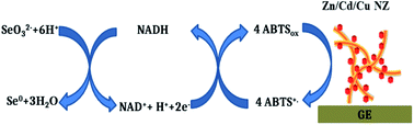 Graphical abstract: Nanozymes with reductase-like activities: antioxidant properties and electrochemical behavior