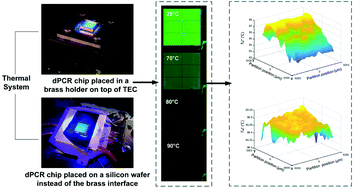 Graphical abstract: Temperature non-uniformity detection on dPCR chips and temperature sensor calibration
