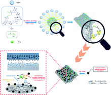 Graphical abstract: Enhancing ink adhesion of specialty paper using an interpenetrating polyvinyl alcohol-blocked polyurethane polymer network sizing system