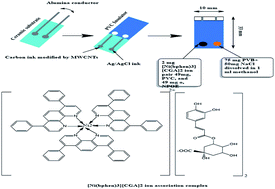 Graphical abstract: Effective screen-printed potentiometric devices modified with carbon nanotubes for the detection of chlorogenic acid: application to food quality monitoring