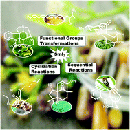 Graphical abstract: Samarium(ii) iodide-mediated reactions applied to natural product total synthesis