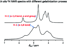 Graphical abstract: Insights into the gelatinization of potato starch by in situ 1H NMR