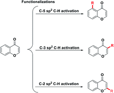 Graphical abstract: Advances in the site-selective C-5, C-3 and C-2 functionalization of chromones via sp2 C–H activation