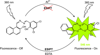 Graphical abstract: A new highly selective “off–on” typical chemosensor of Al3+, 1-((Z)-((E)-(3,5-dichloro-2-hydroxybenzylidene)hydrazono)methyl) naphthalene-2-ol, an experimental and in silico study