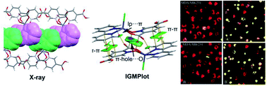 Graphical abstract: Coordination complexes of zinc and manganese based on pyridine-2,5-dicarboxylic acid N-oxide: DFT studies and antiproliferative activities consideration