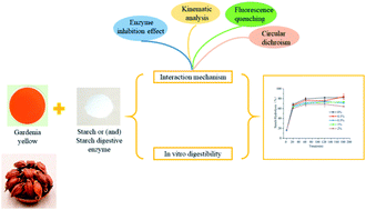 Graphical abstract: Influence of gardenia yellow on in vitro slow starch digestion and its action mechanism