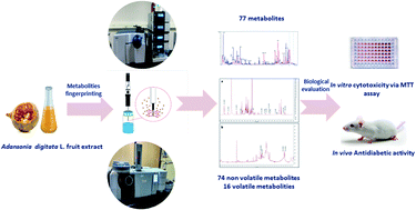 Graphical abstract: Metabolome-based profiling of African baobab fruit (Adansonia digitata L.) using a multiplex approach of MS and NMR techniques in relation to its biological activity