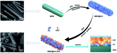 Graphical abstract: Controllable fabrication of a hybrid containing dodecyl dihydrogen phosphate modified magnesium borate whisker/hydrated alumina for enhancing the fire safety and mechanical properties of epoxy resin